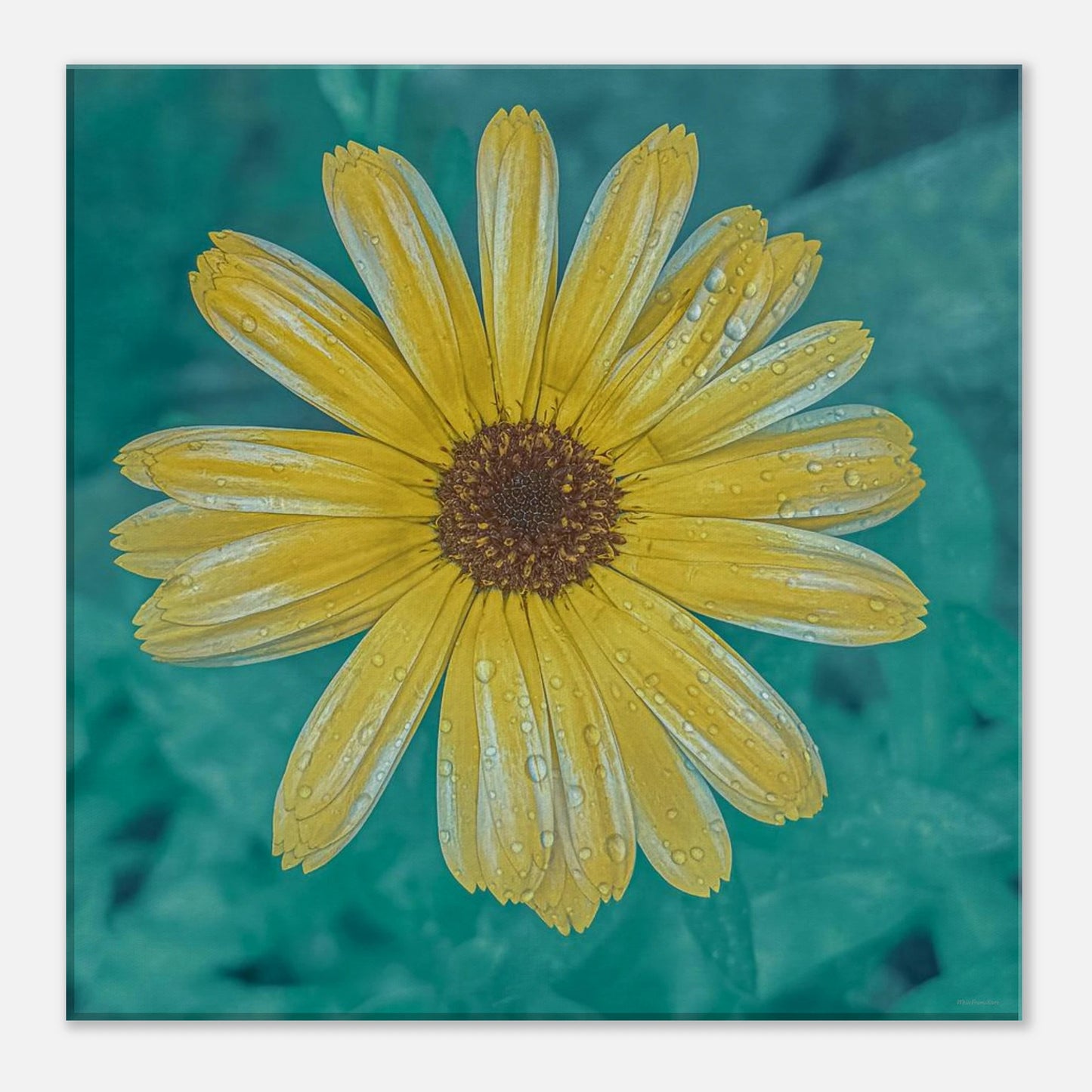 430e5239-df89-4ac3-80f2-0e8877dd66af