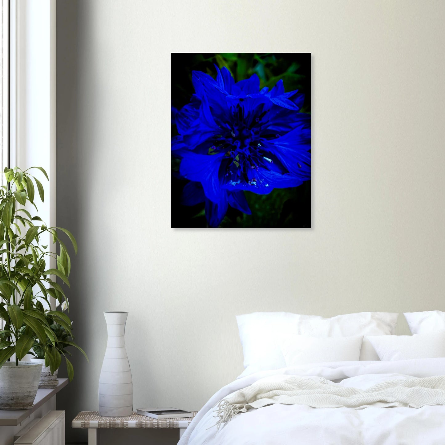 4337917f-188e-4f81-9b85-1f9a2f18e85e