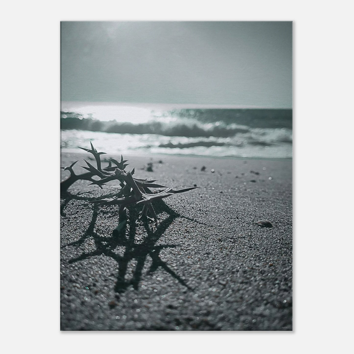 4376ce38-e0de-44e3-bd7f-21f82ec17ebf