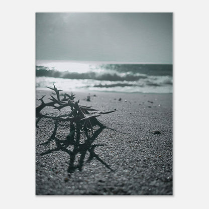 4376ce38-e0de-44e3-bd7f-21f82ec17ebf