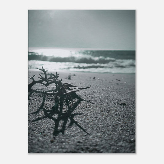 4376ce38-e0de-44e3-bd7f-21f82ec17ebf