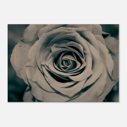438e0360-cb45-4c71-9a85-51aeb9e96c47