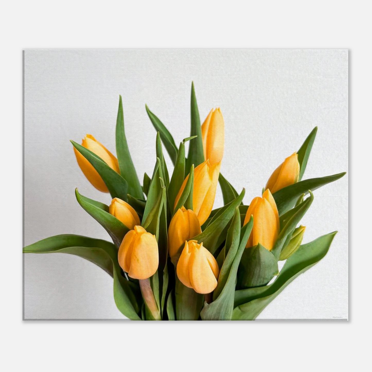 43b6f5fe-3fe6-4453-be30-c96d7b1fde72