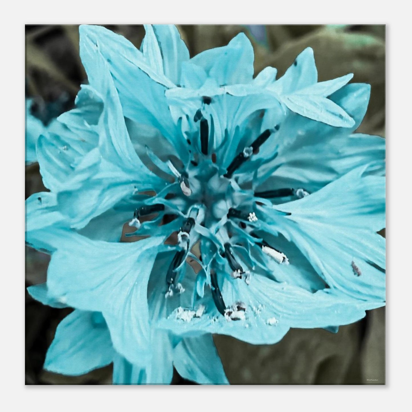 43c8a4c6-67e6-47fb-b9ae-7fe51486a9ee