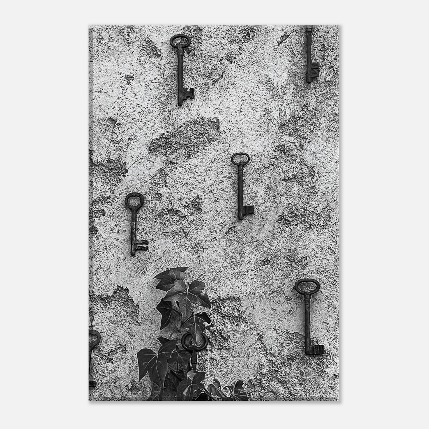 43d22bb6-8ee6-422f-a961-48bfde363356