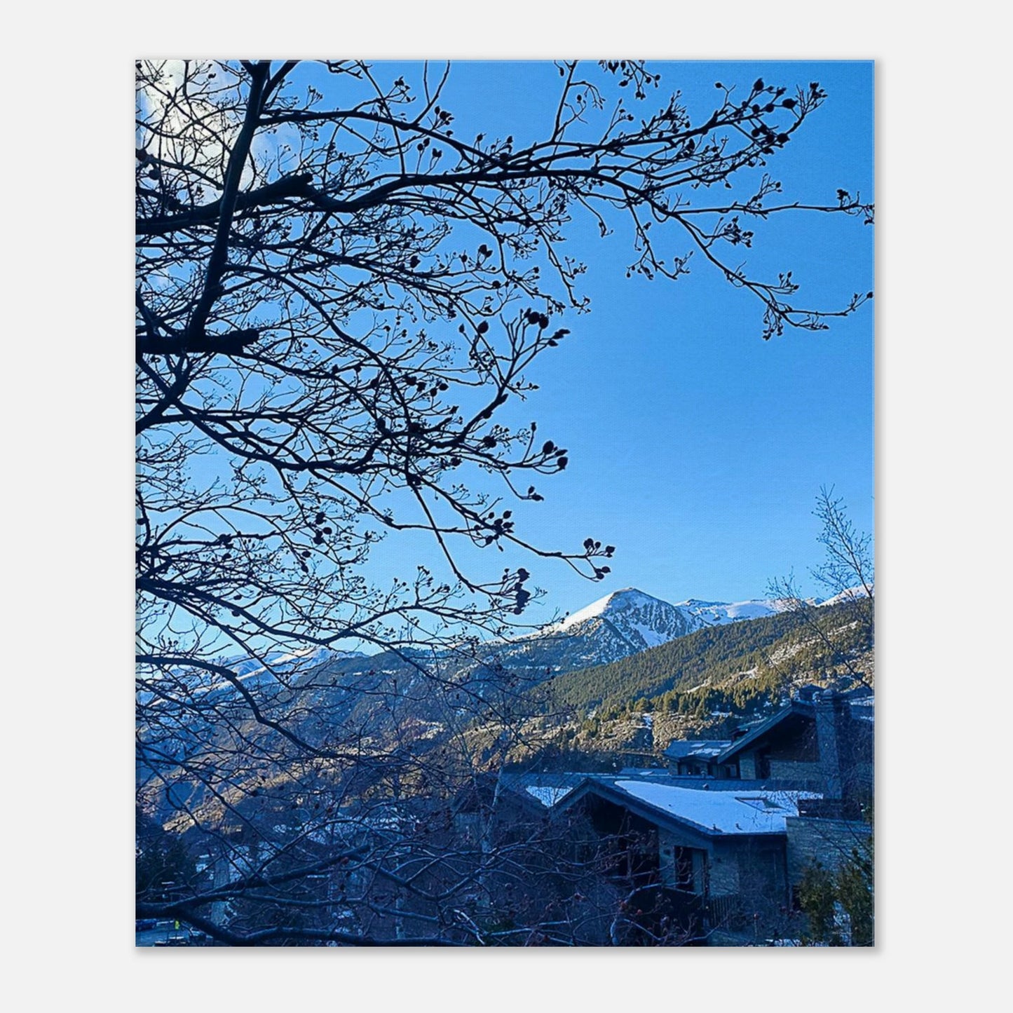 43fc6c2a-e567-4695-8cab-799ef4acd8b7