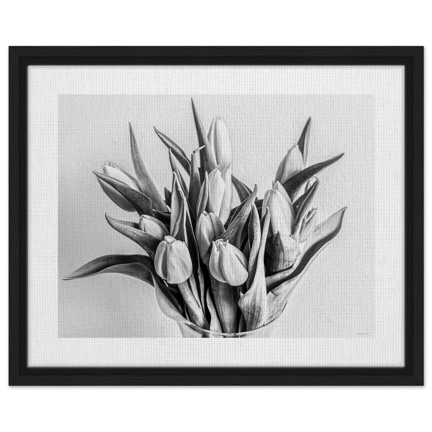 442ec243-e26c-4181-bca5-9e8c8727f640