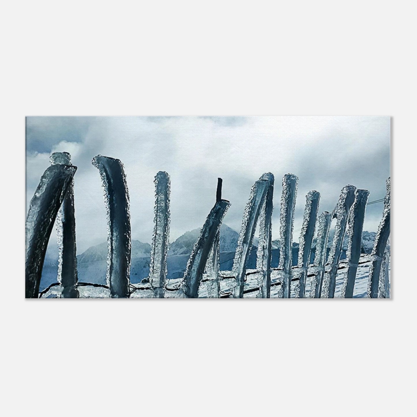 446ad664-29b4-43a5-b527-3acd7cf553a0