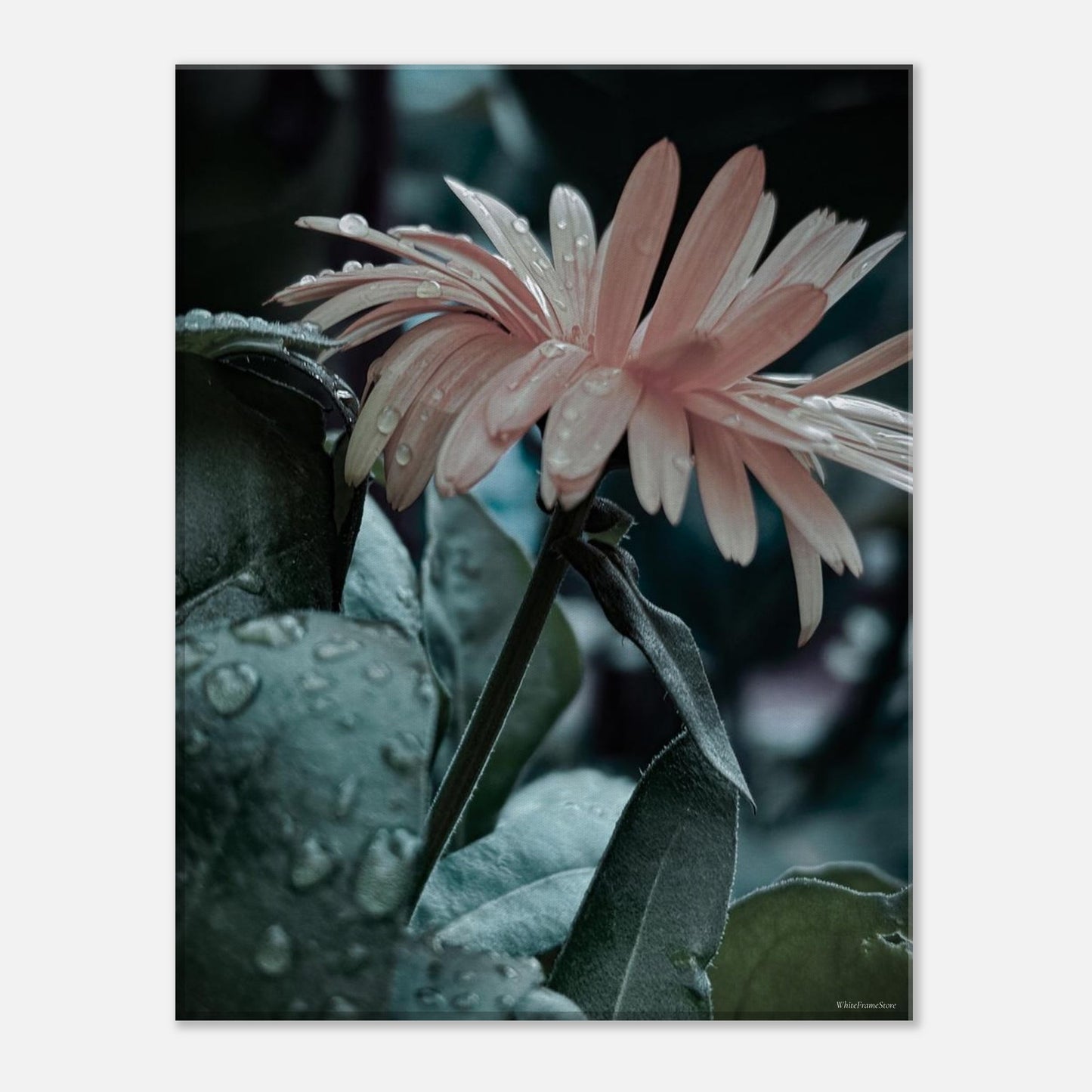 4478fd0f-e220-48f1-aa1e-8a06635552cb