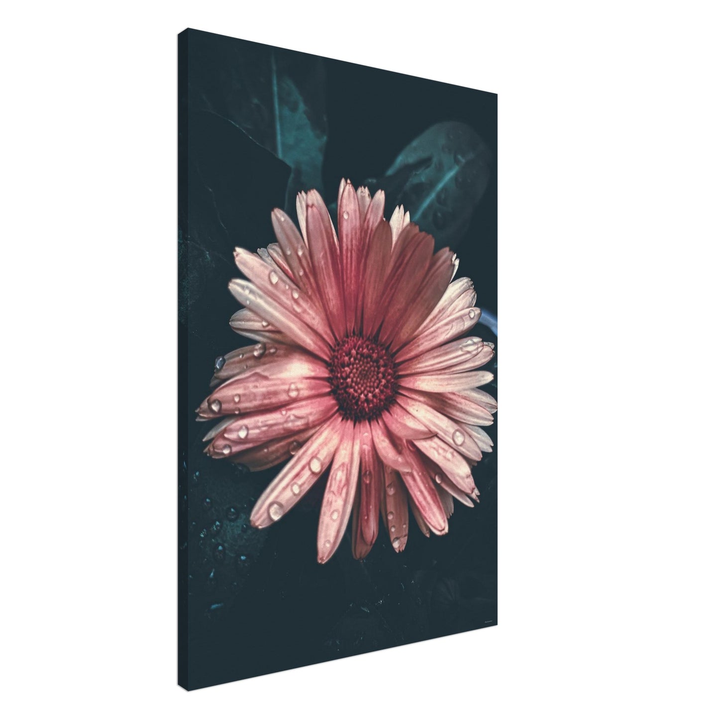 44ad9396-3cdf-4a9a-9ab0-308df99497bb