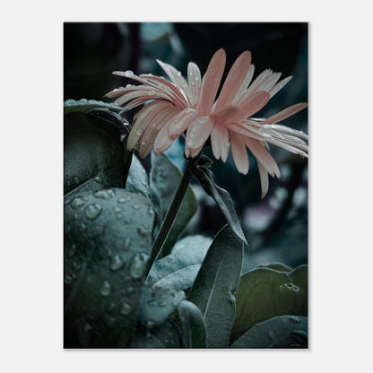 44c9dd57-a99a-4958-8586-4e346430f759