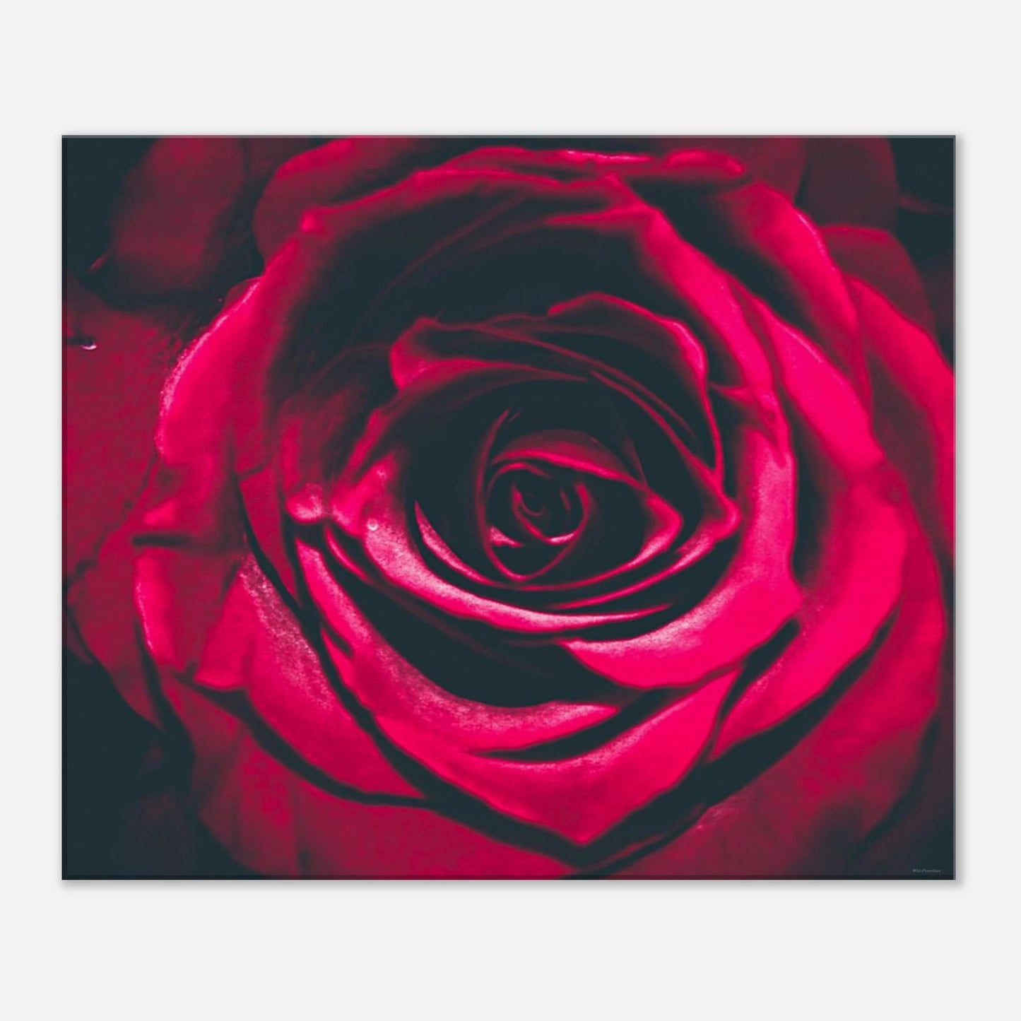 44cb0698-a432-468e-872c-3f42de31792a