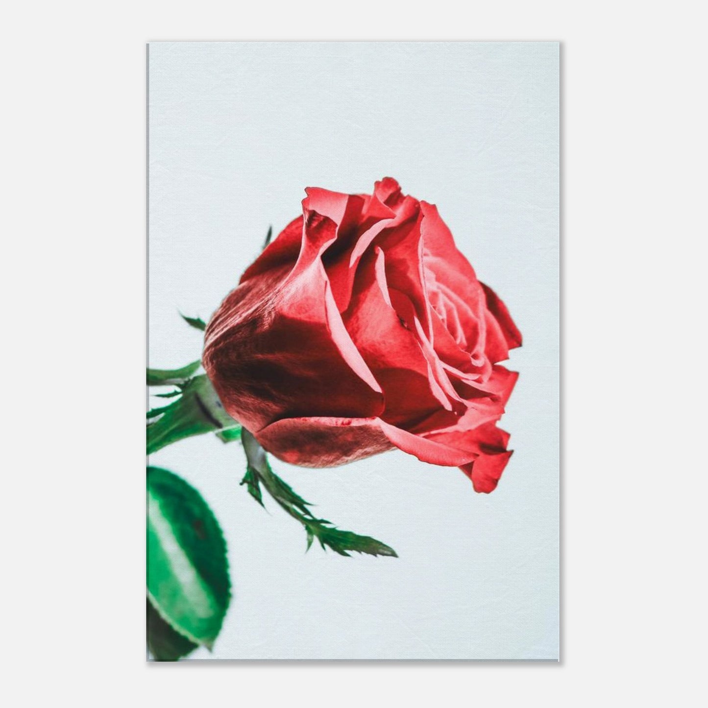 44e1a76a-5073-4b75-907e-a45ab9a42e68