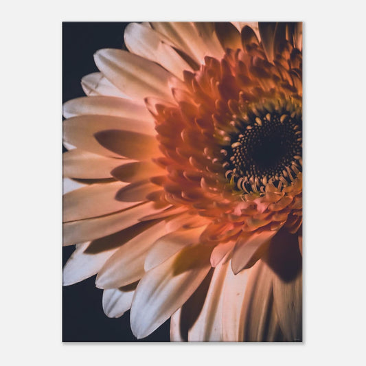 44e7e493-fc3a-451a-8c16-20e1a773e318