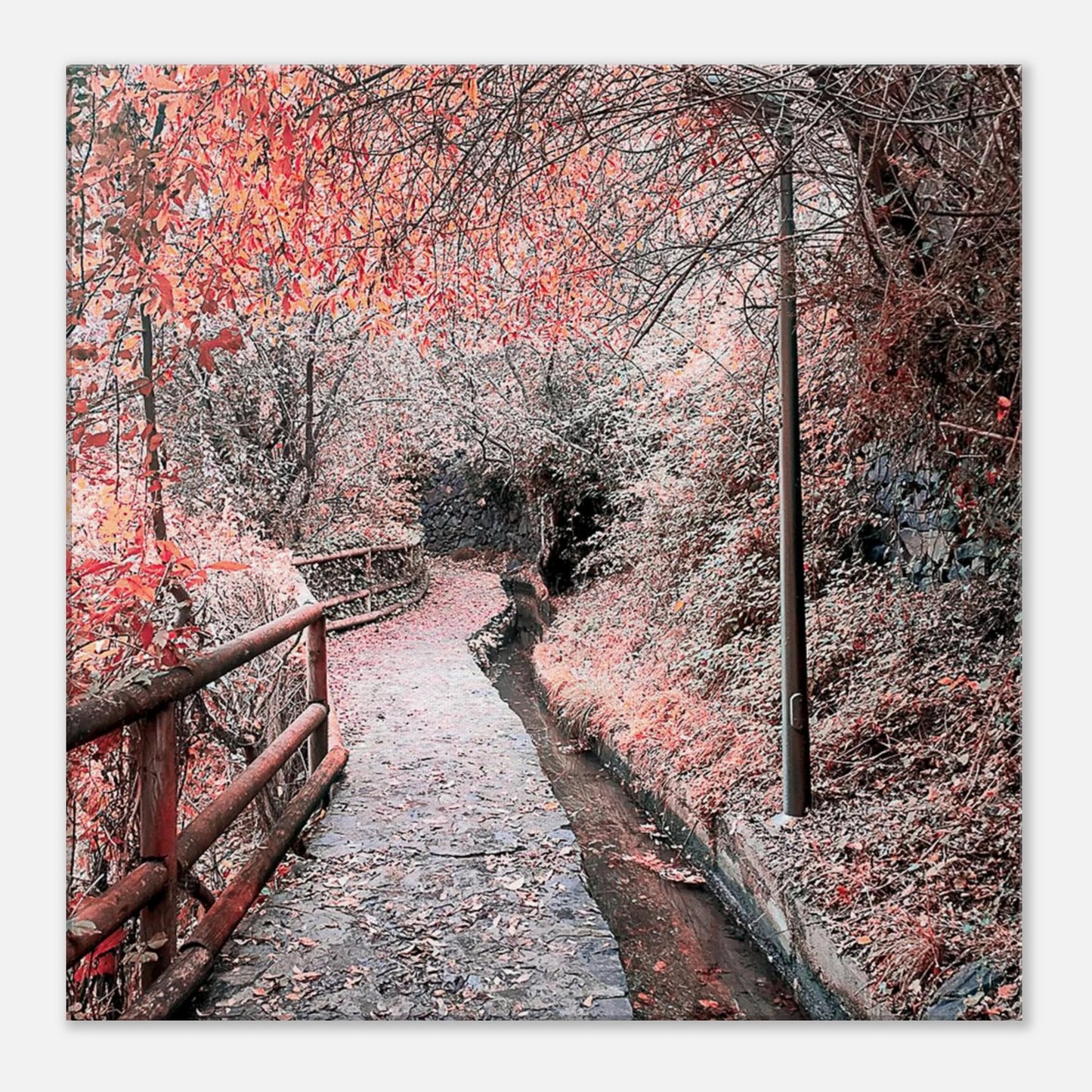 44f5bf13-80e8-4d27-b3d3-4dc2404c0d52