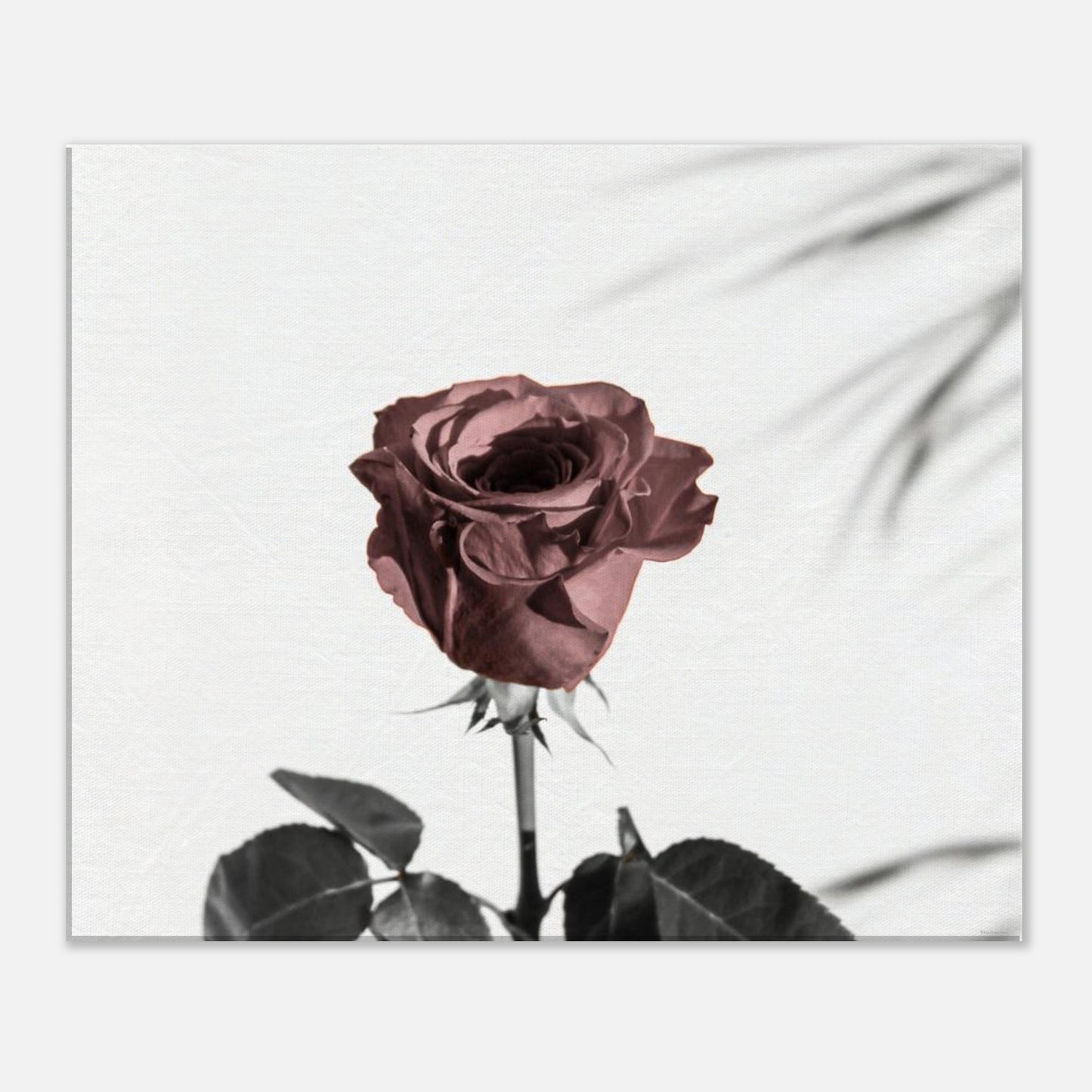 45063d5f-c05f-45da-b968-87abc1b03359