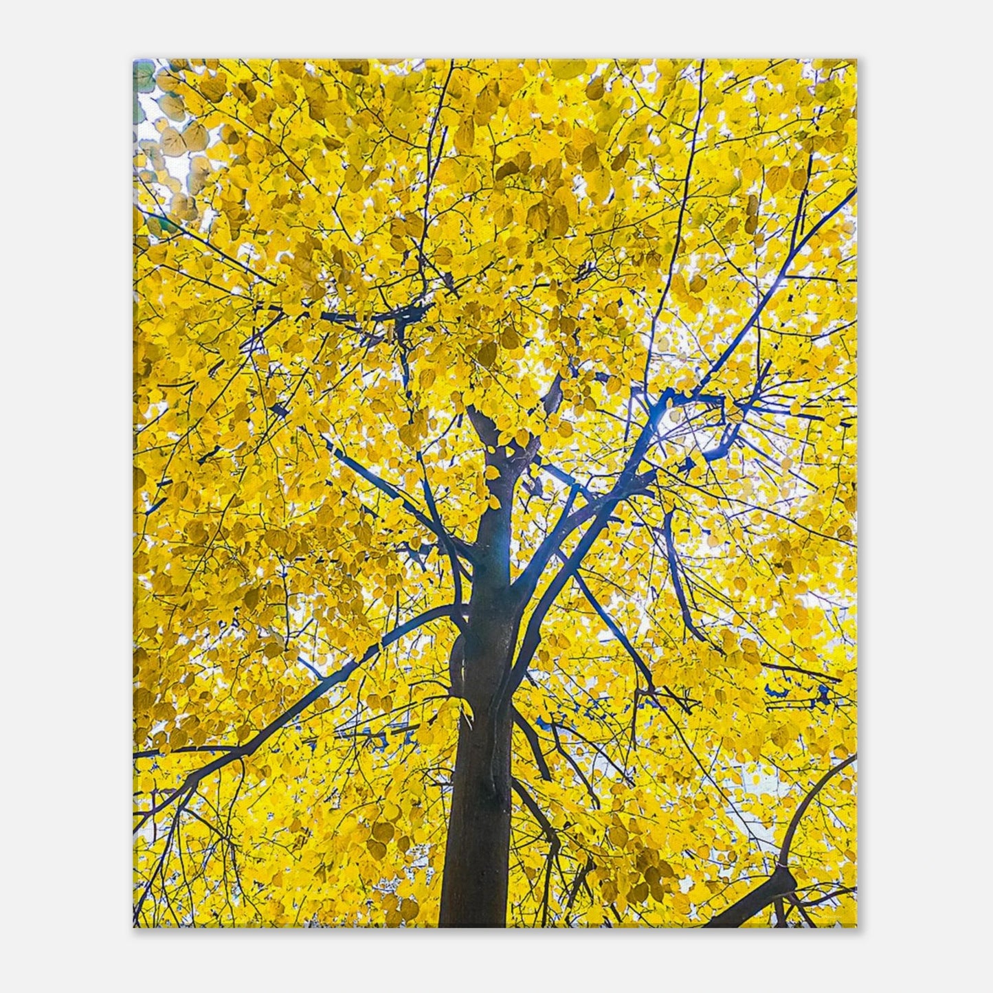 45083834-6abe-41a1-9e6c-3e11def6ac57