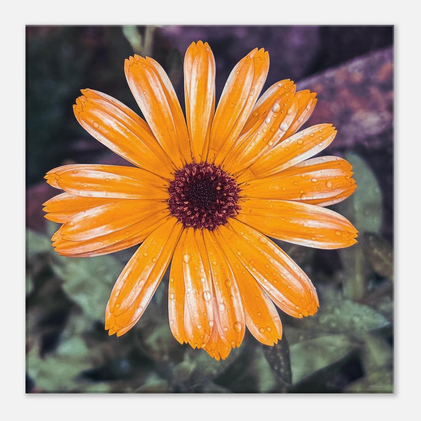 45340e0c-a9a0-4879-8be6-7fbb18168ff3