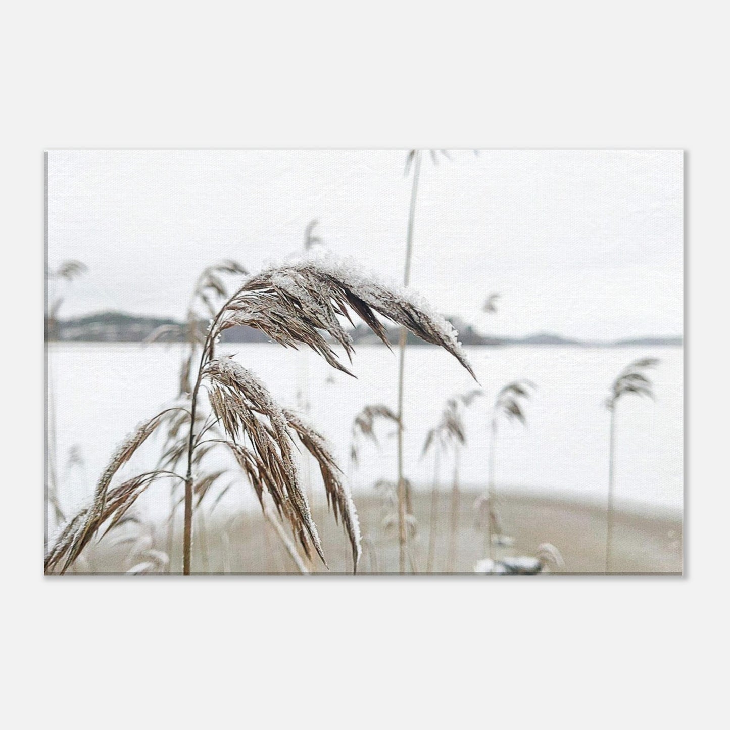 45500894-cd34-491d-bdef-d71053738fd1