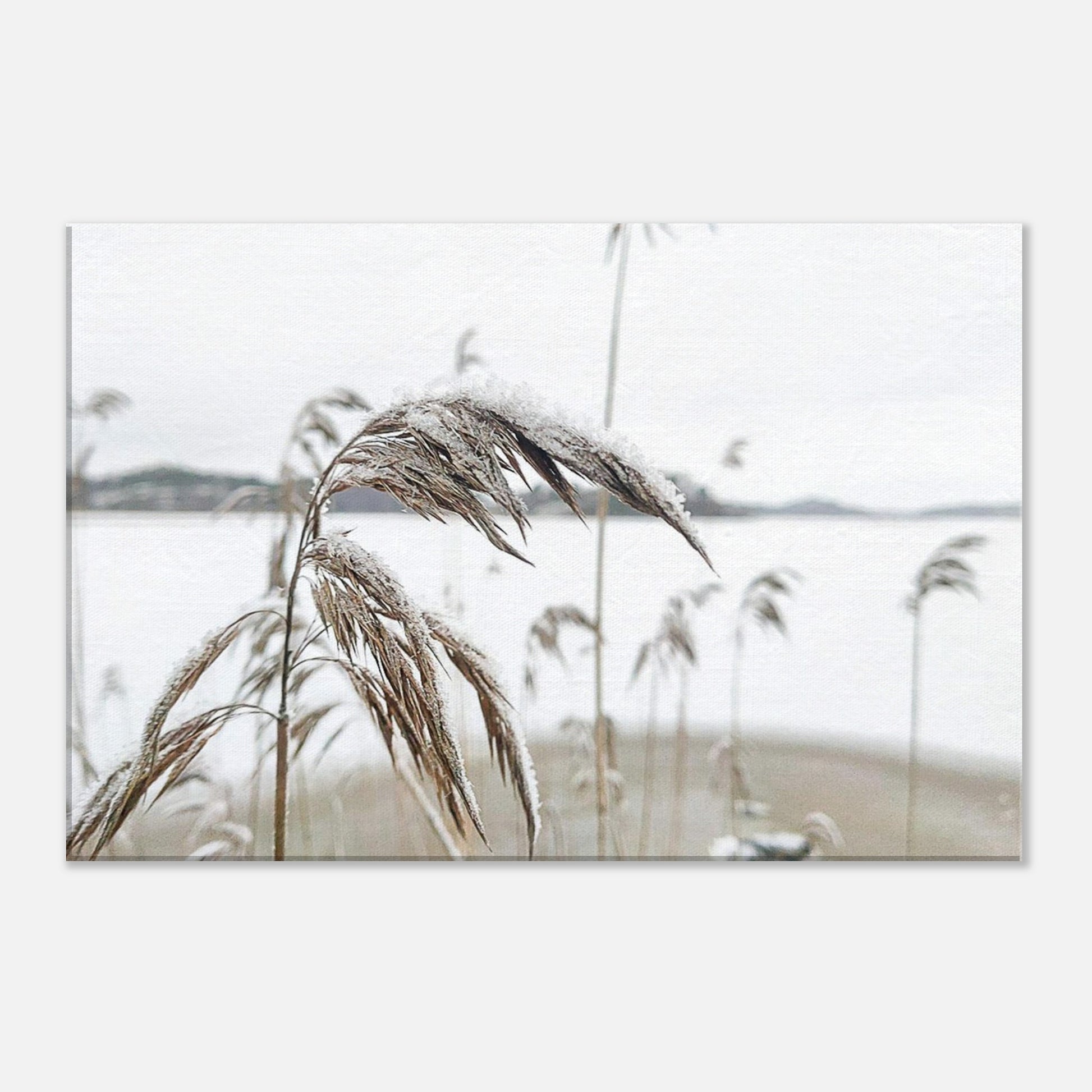 45500894-cd34-491d-bdef-d71053738fd1