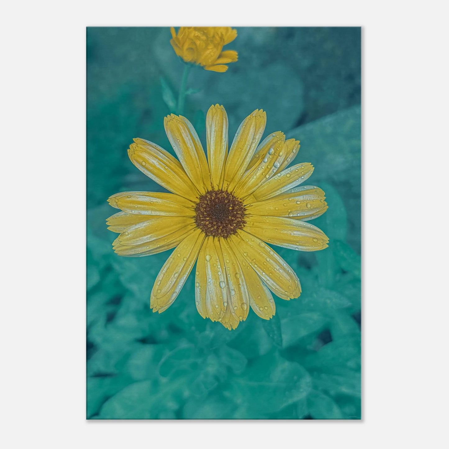 455a33e8-2bb1-4f43-9dd3-a48ac51e153f