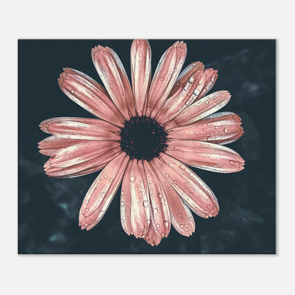 4577f506-72e0-4769-b636-66687faff530