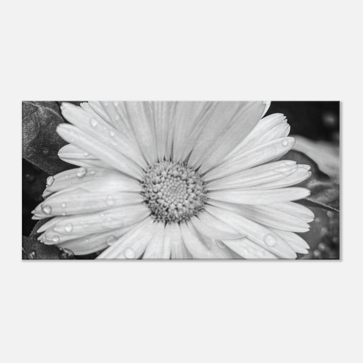 4585b871-cc8a-4877-9b78-fd9593a3c12a