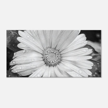 4585b871-cc8a-4877-9b78-fd9593a3c12a