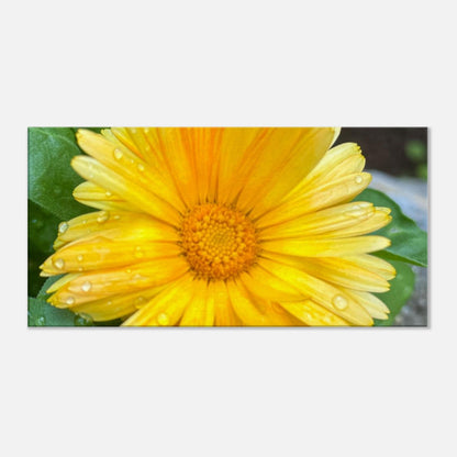 45aa07c5-f938-4616-91e7-f3e4c2aed357