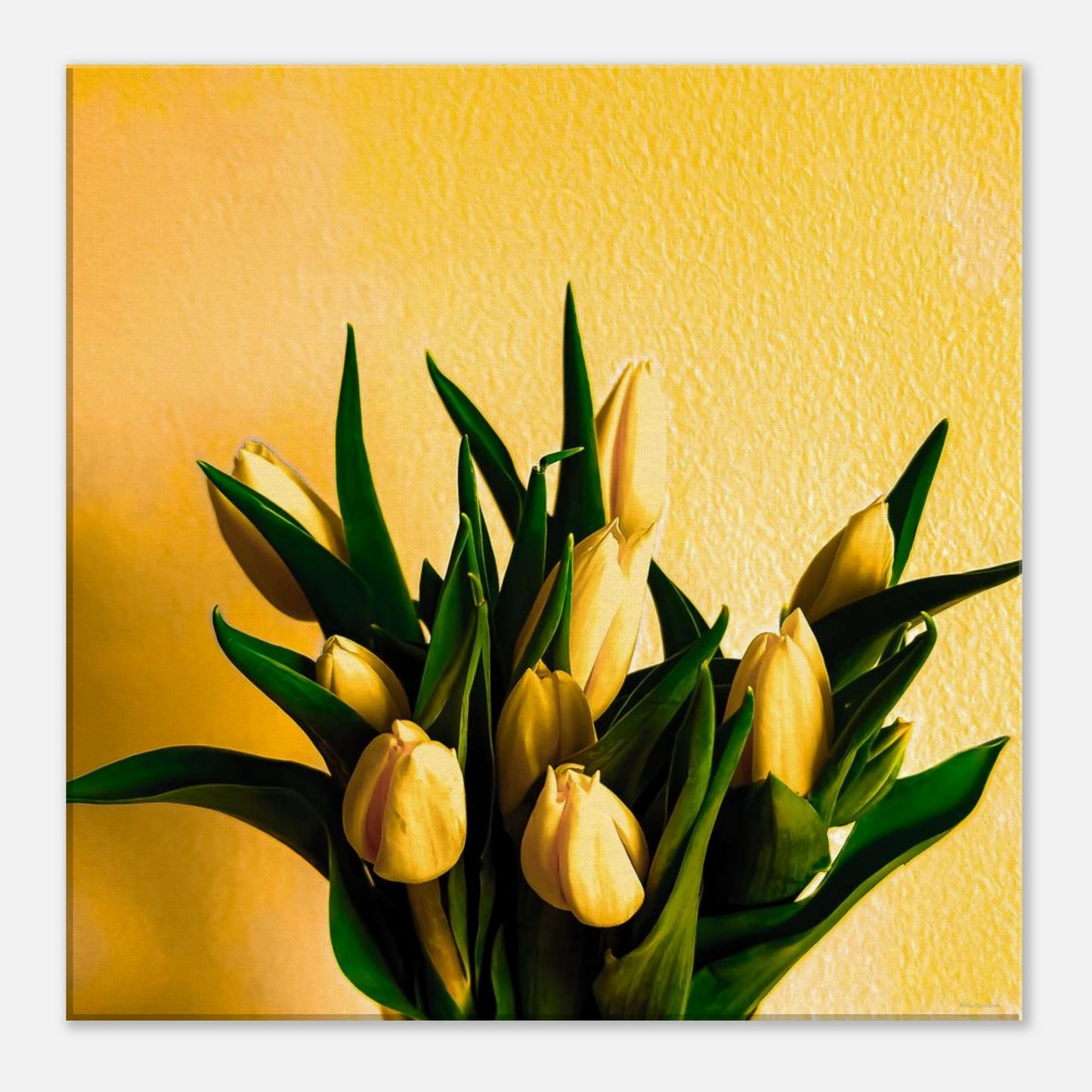 460a96d3-4d3f-4a8b-b700-19d1025644e1