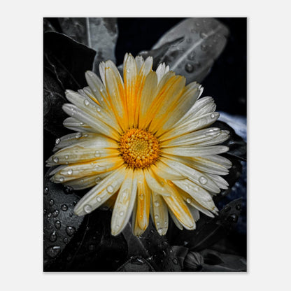 461a0117-a205-41eb-8d8a-9cf6f1eaf40e