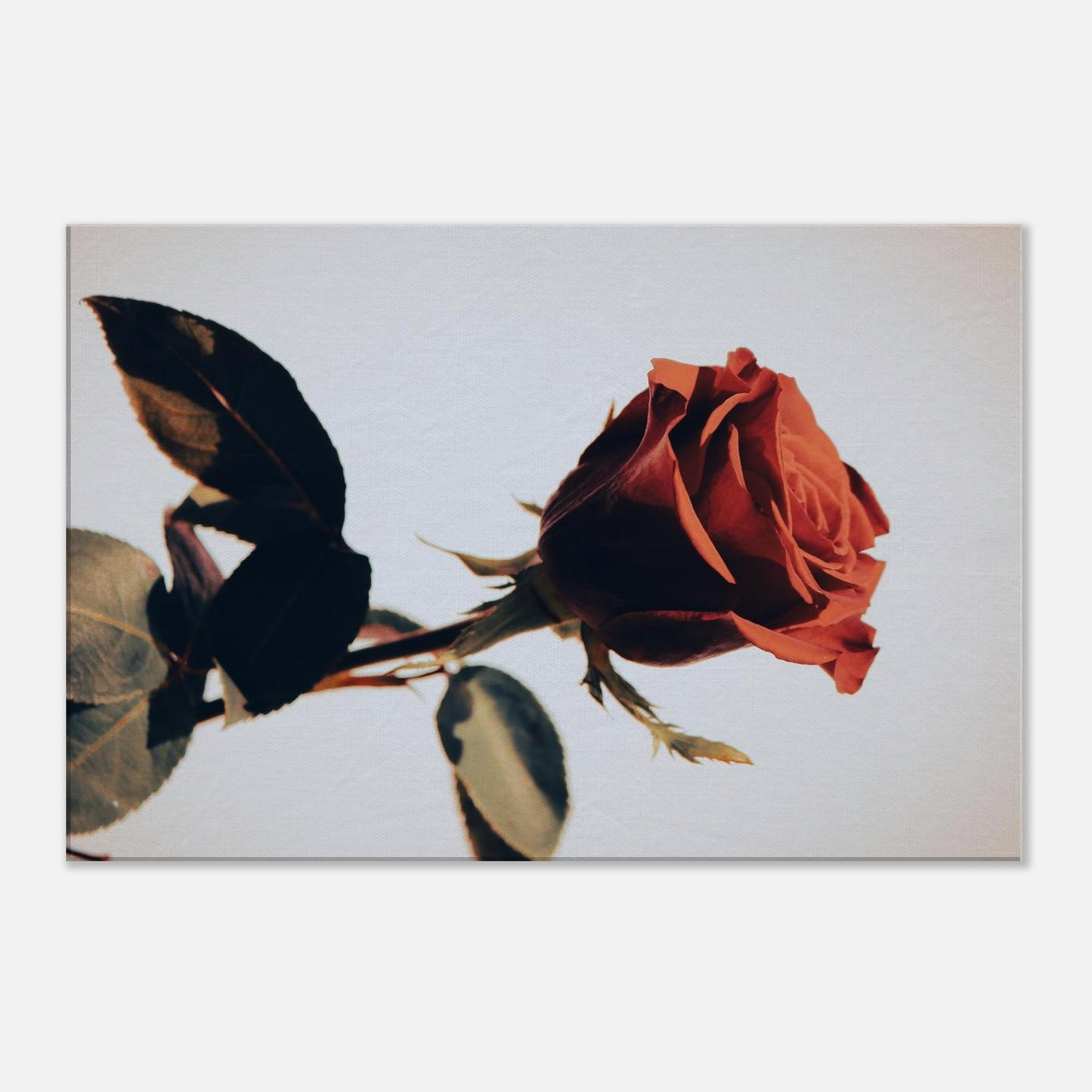 4620605c-0c14-488c-877d-745bad1848d0