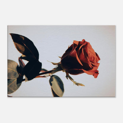 4620605c-0c14-488c-877d-745bad1848d0