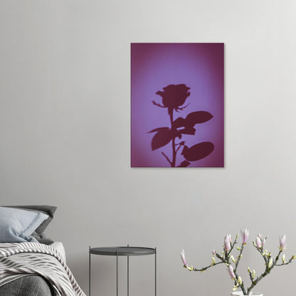 465b0eb6-02db-42d3-b94f-ae9a71df06b4