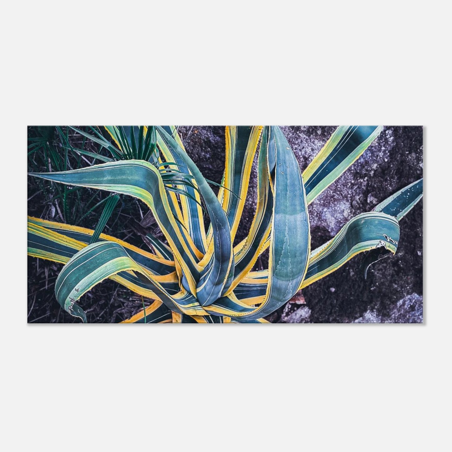 467fc8a6-acf6-4a45-a55c-72f6633a2b42