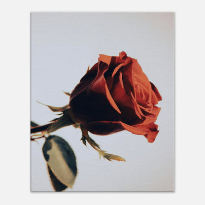 46a5dac4-98e1-49fa-a6d1-0b8681dbb3c0