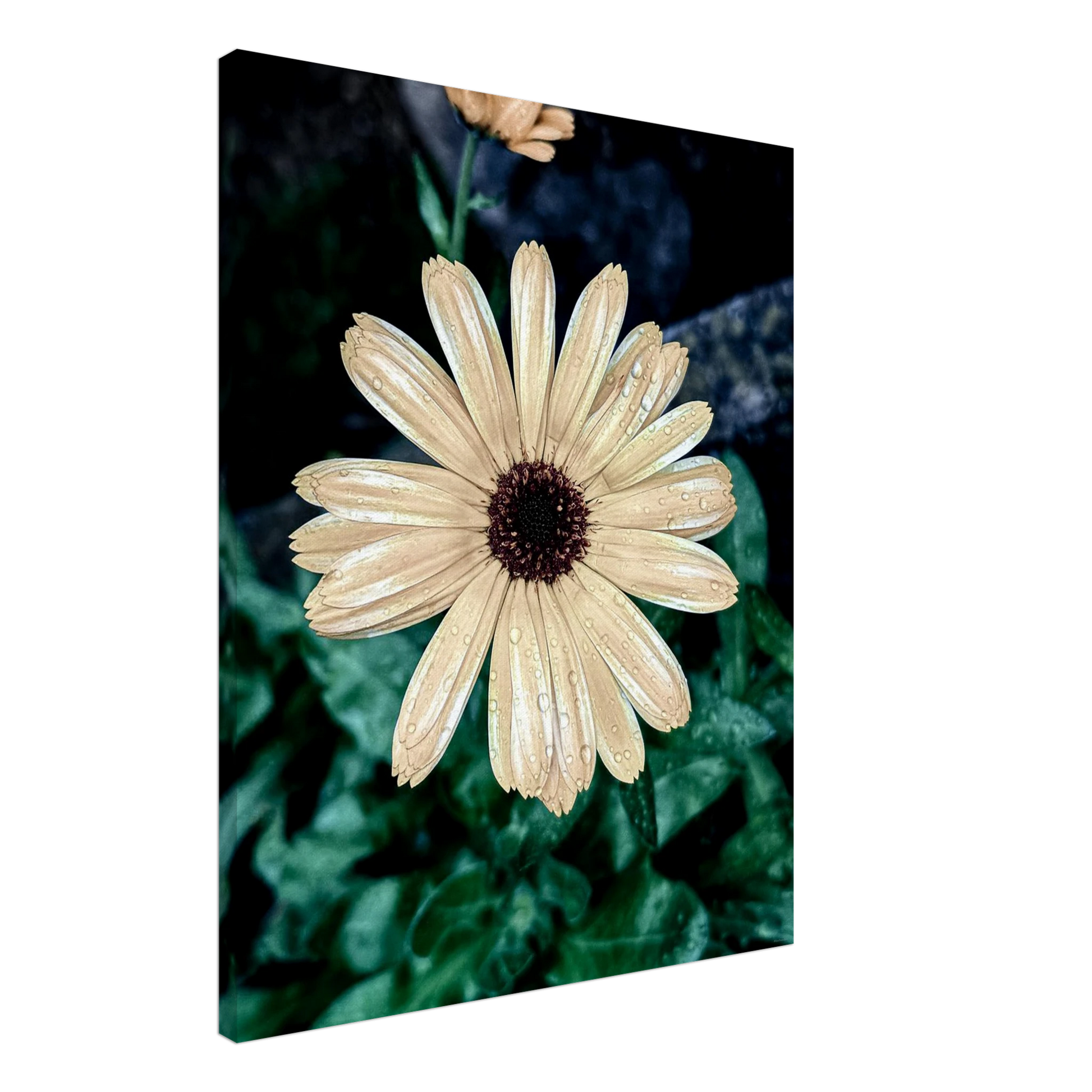 46bbe7c7-8fef-487c-99b2-b0a76c4b7934