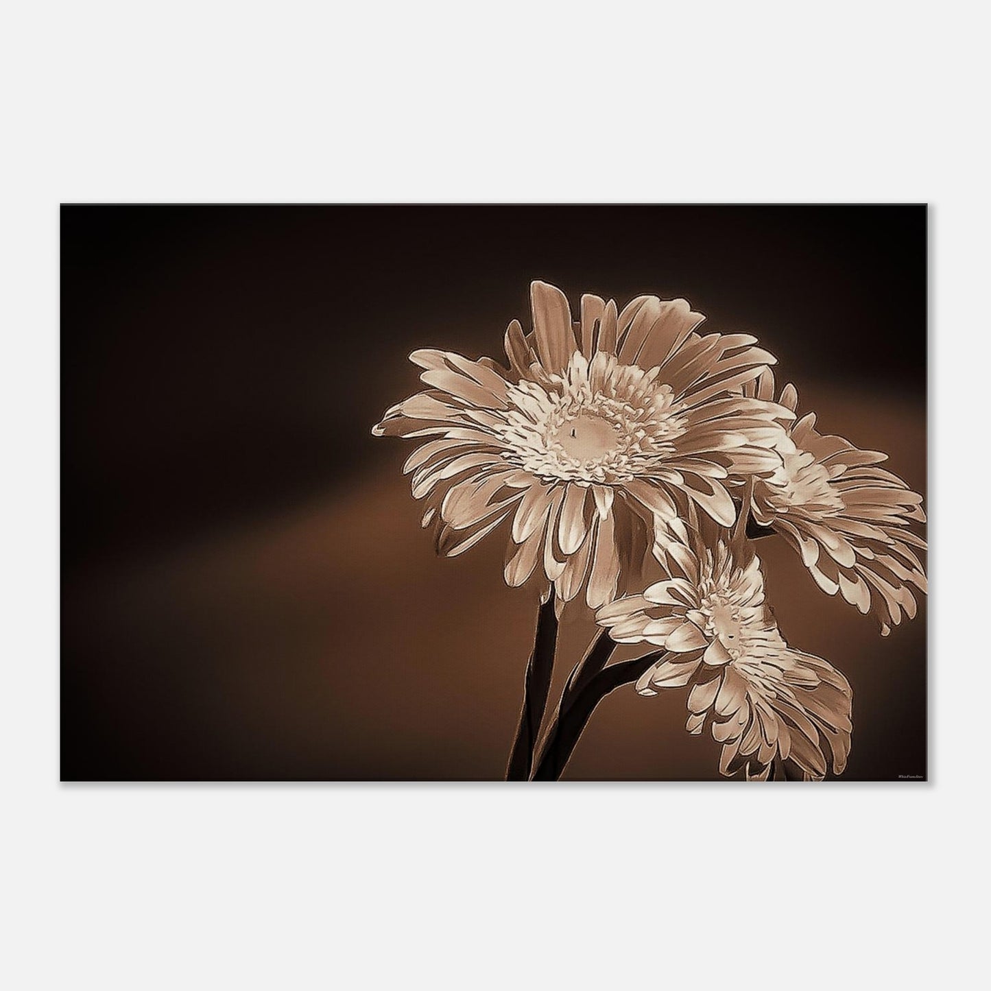 46e322f1-285f-41bf-a056-e46a8f5e5cd4