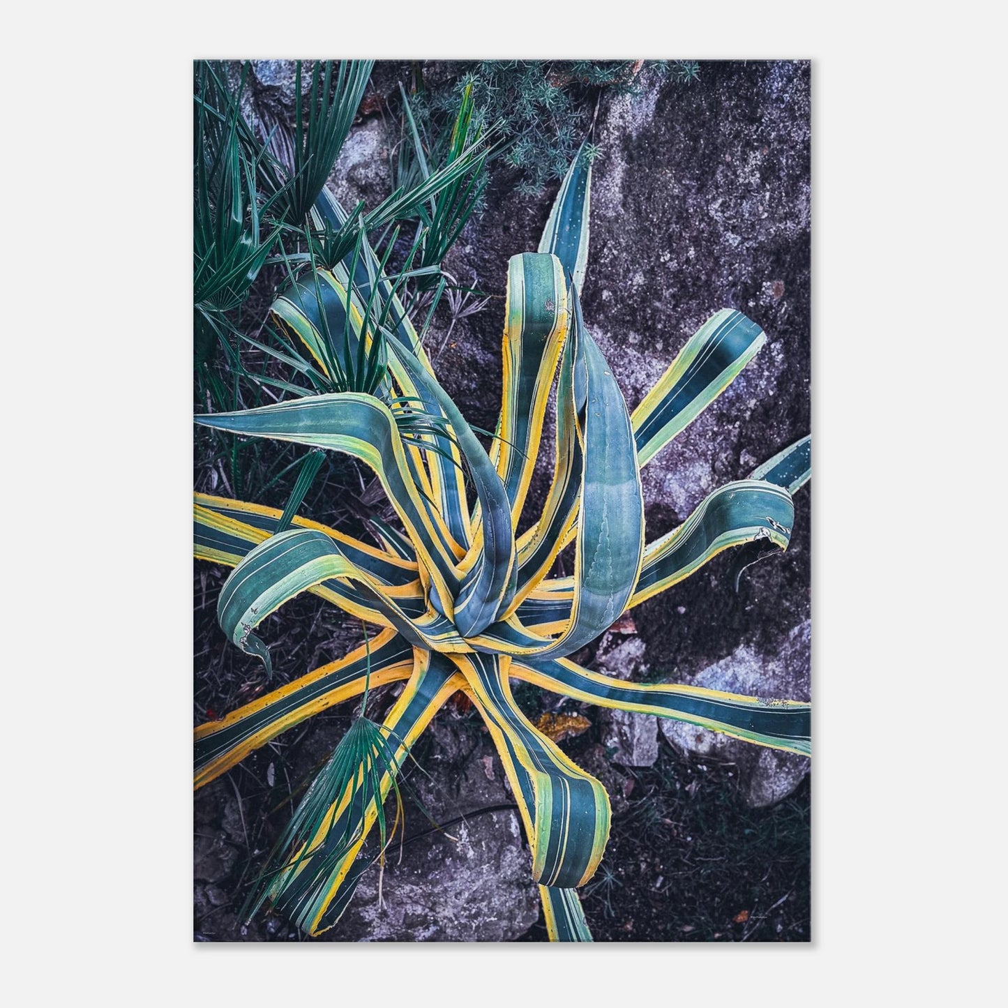 46ef2708-eeb9-44f7-9154-5f725503dc43