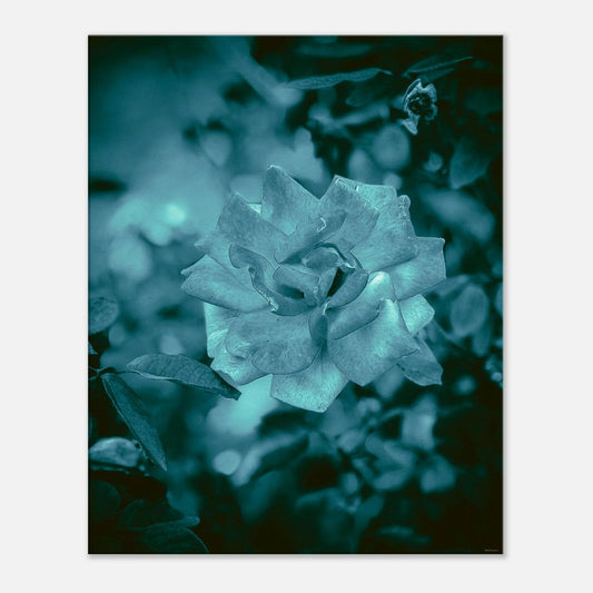 470d0434-36c1-4a6e-b9a1-00b32a2a1218