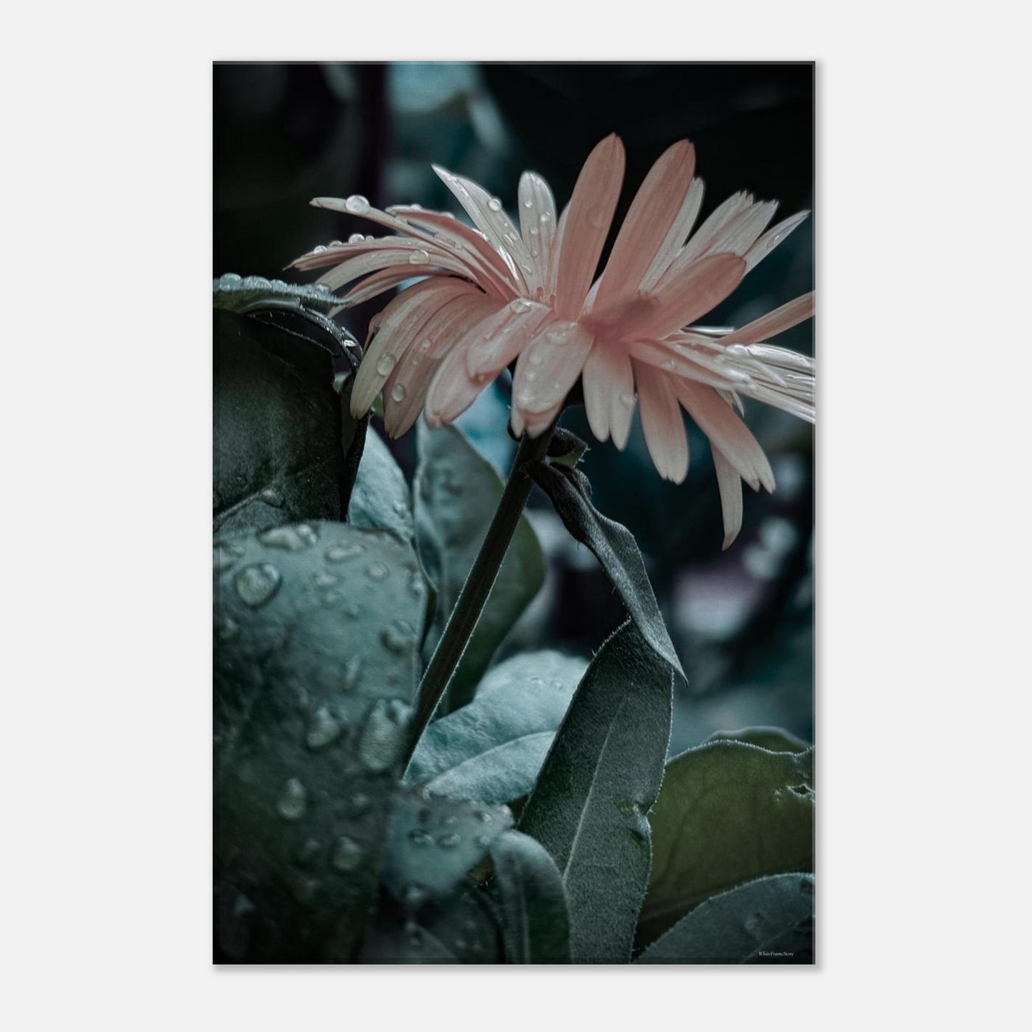 472ff298-0512-4f7b-9242-c54371dfe9c7