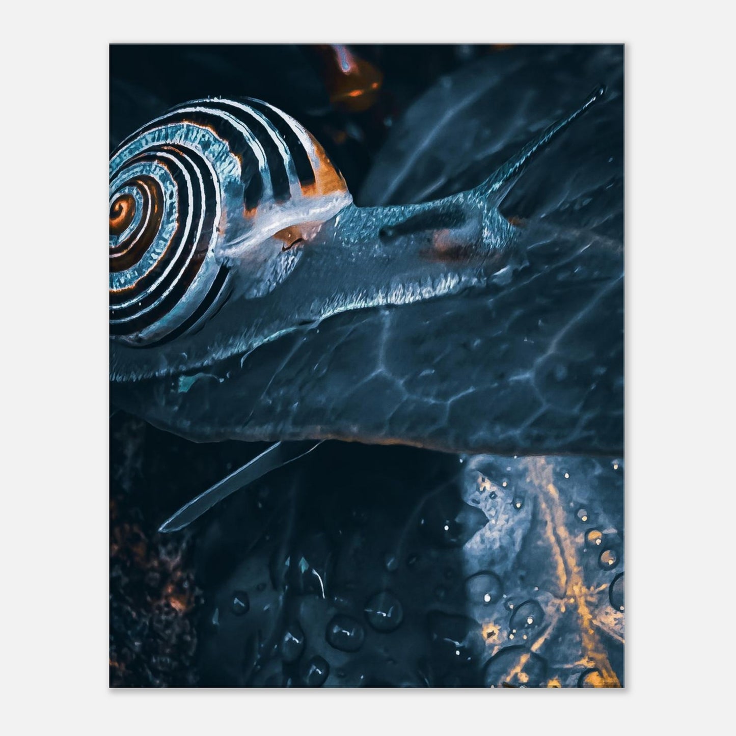 474c4ca6-6236-4145-846e-dff50ce7af11