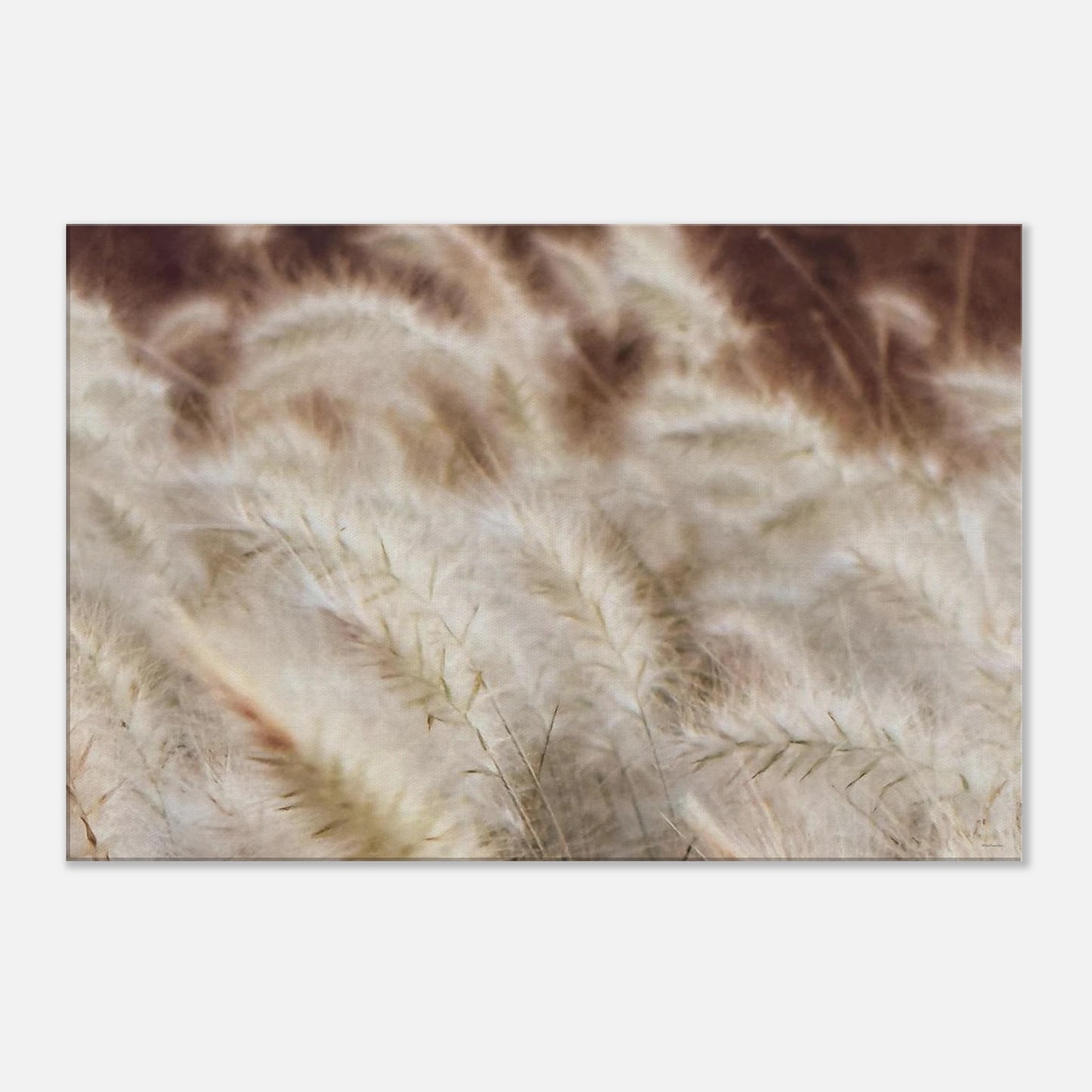 4781c572-2afc-4909-a6b4-5270f66244d5