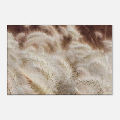 4781c572-2afc-4909-a6b4-5270f66244d5