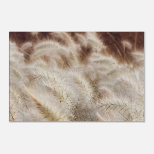 4781c572-2afc-4909-a6b4-5270f66244d5