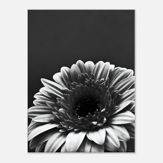 47916f3d-d4e9-4991-9a83-304a829b3ac2