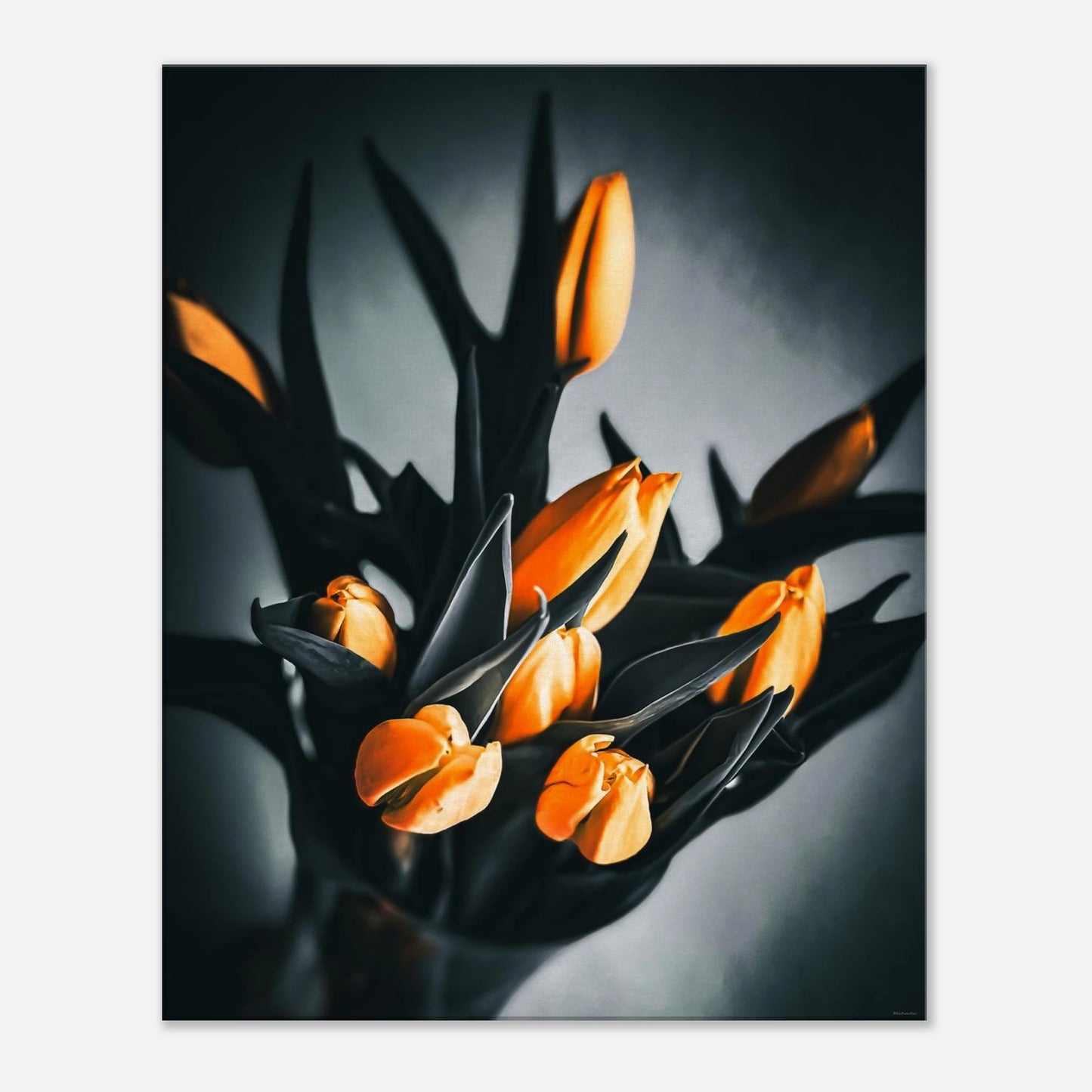 47961433-78ea-4f85-9555-8296f66ddf0f