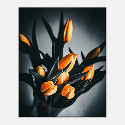 47961433-78ea-4f85-9555-8296f66ddf0f