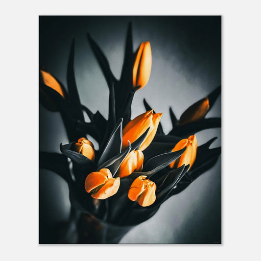 47961433-78ea-4f85-9555-8296f66ddf0f