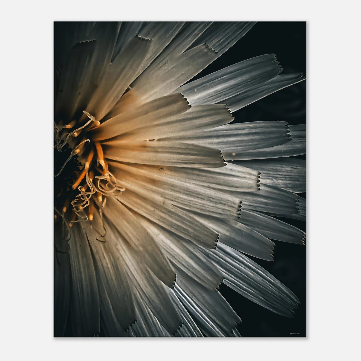 47ab5daf-be21-422d-9e59-1971ffcf4d2e